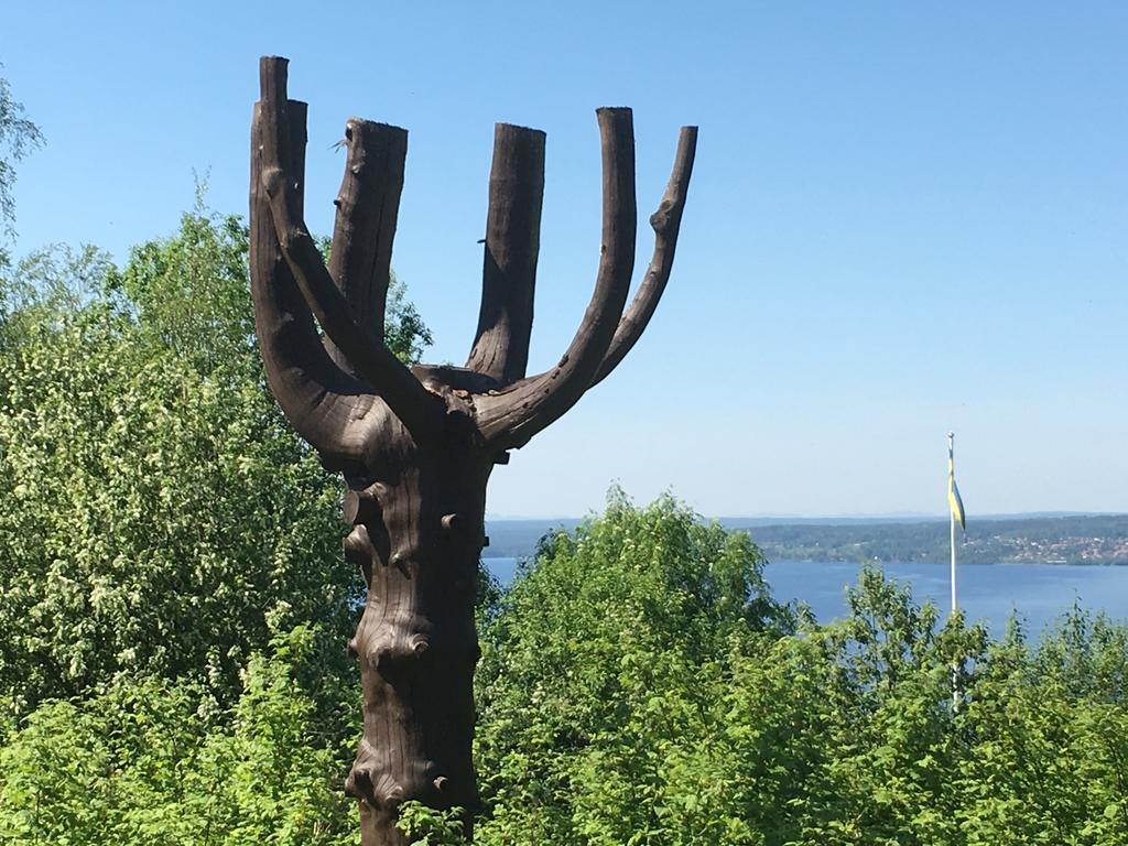 Augustas Bed & Breakfast Rättvik Екстериор снимка
