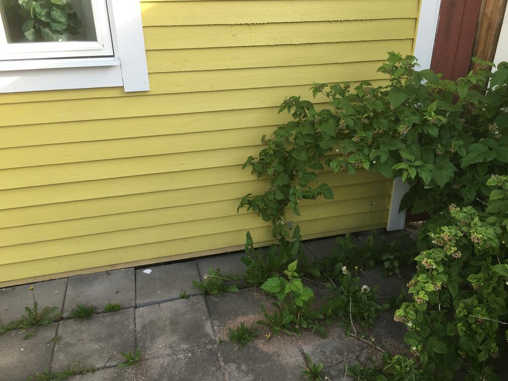 Augustas Bed & Breakfast Rättvik Екстериор снимка